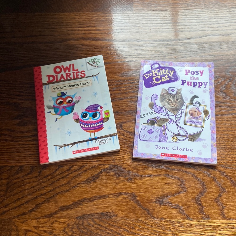 girls 2 fun and easy read books!